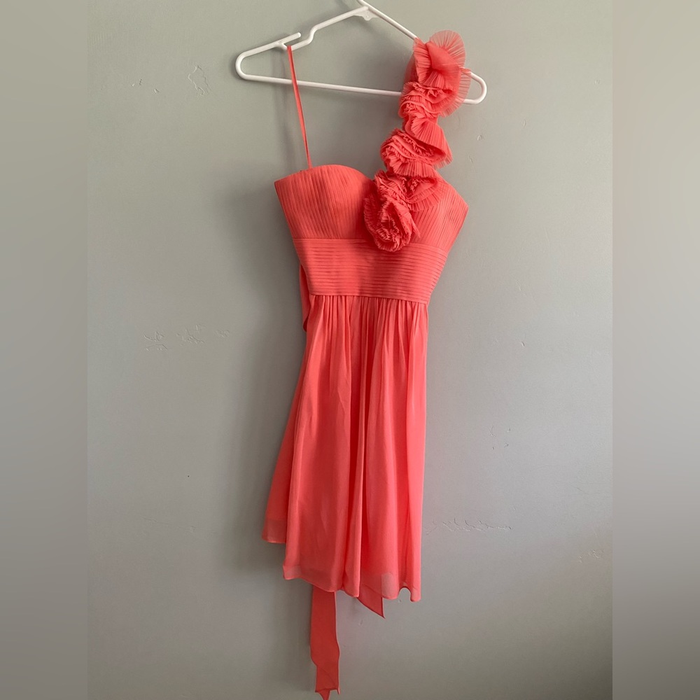 BCBGMAXAZRIA Chiffon one should dress